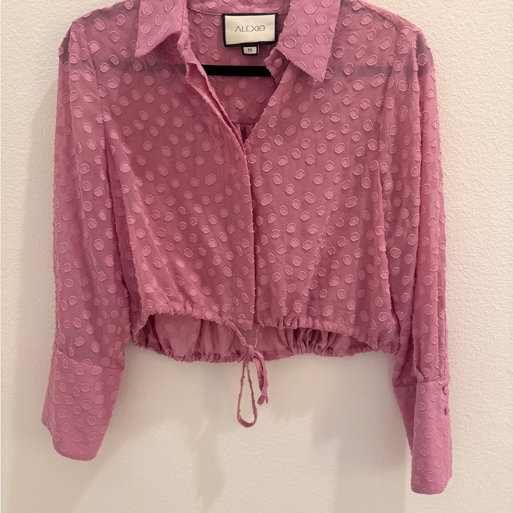 Alexis Mauve Pink Cropped Button-Down with Dot Texture